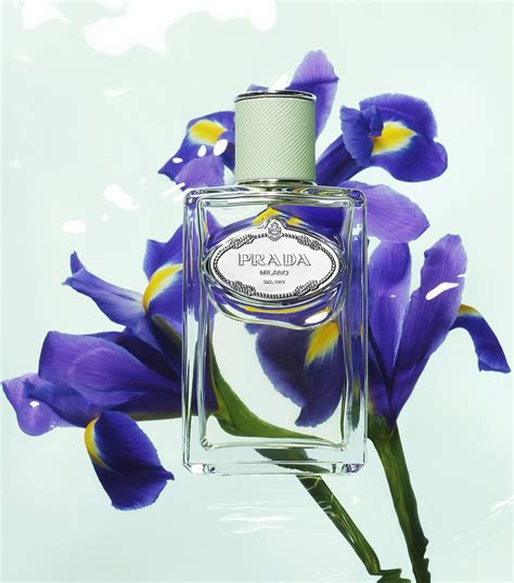 prada parfum iris pallida|prada beauty infusion d'iris.